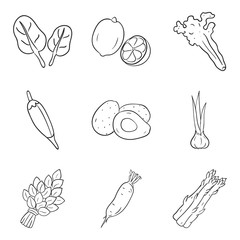  Natural Vegetables Hand Drawn Vectors Pack 