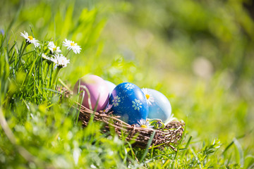 Happy Easter  -  Nest with easter eggs in grass on a sunny spring day - Easter decoration background - 328283218