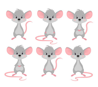 Set of mice in different poses. Grey rodent with big ears and long tail vector cartoon character in flat style