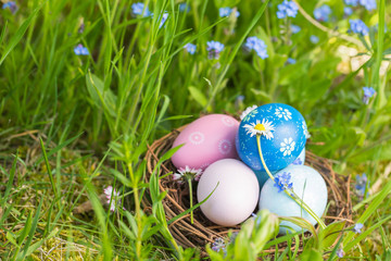 Happy Easter  -  Nest with easter eggs in grass on a sunny spring day - Easter decoration background
