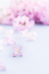 Beautiful spring lilac background. Vertical shot. Copy space
