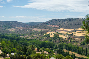 Fototapeta na wymiar Field with trees in summer in Brihuega, Guadalajara province, Castilla La Mancha, Spain