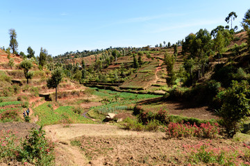 Small valley with agriculture in the Usambara Mountains