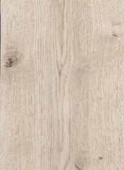 Wenge wood background, natural texture. Extremely high resolution illustration