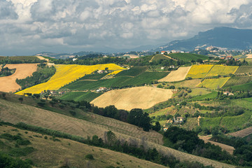 Obraz premium Rural landscape near Ripatransone, Marches, Italy