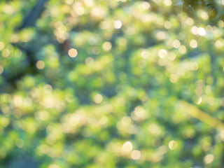 Obraz premium abstract background with bokeh