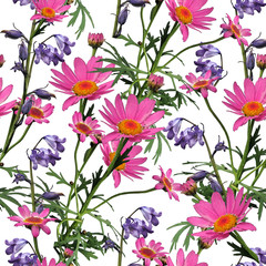 Field flowers, seamless pattern, template.