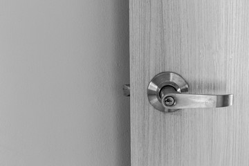 Metal door handles on modern wooden doors.
