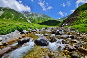 夏山　北アルプス 立山連峰　