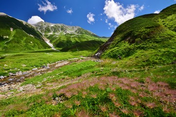 夏景色　北アルプス 立山アルパイン　