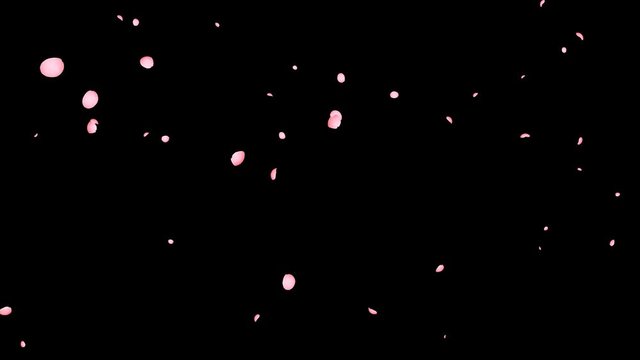 桜ループあり（普通）_4K_アルファ付き