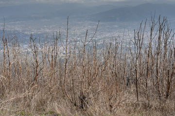 Naples, Italy - March 2020 A team of people trekking on the mountain close to Vesuvius Volcano to discover the beauty of nature and sense of a team.