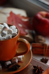 Closeup half cup with marshmallows on saucer with star anise and book