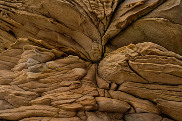 close up limestone texture background, natural surface. Background on theme geology