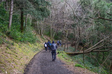 Obraz premium Mount Somma, Naples / Italy - March 2020: Trekking on Mount Somma, visiting the burnt area and the quary.