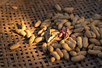 The new peanuts are drying in the sun
