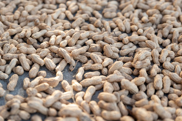 The new peanuts are drying in the sun