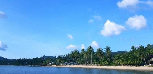 lake in deep forest