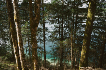 Lake in the Mountains