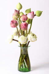 Green white and pink lotus flower in glass green vase