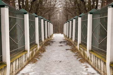 icy path leading between a lattice fence with white posts