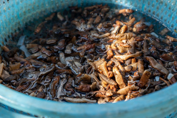 Making process of handmade food for sand worms