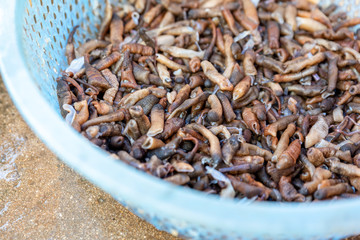Making process of handmade food for sand worms