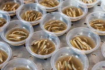 Making process of handmade food for sand worms