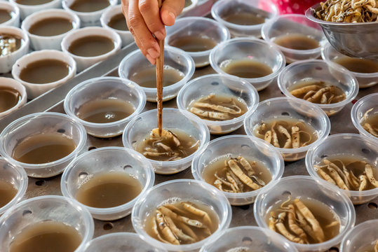 Making process of handmade food for sand worms