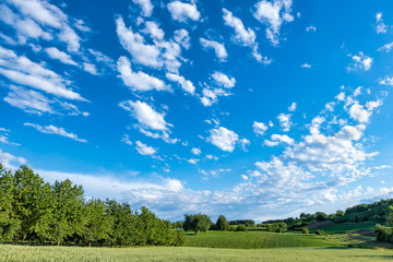 Fototapeta na wymiar Blue sky with clouds over wide green field landscape