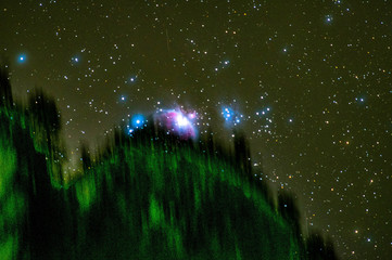 森に沈むオリオン大星雲