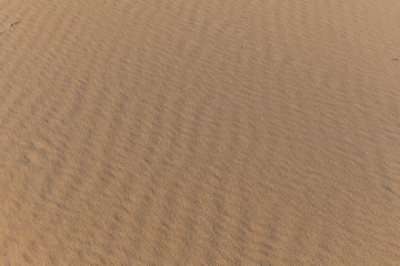 Sand Texture. Background from fine sand. Sand background. selective focus