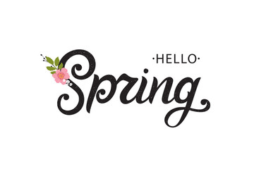Hello Spring typography vector design for greeting cards and poster. Hand lettering text isolated on pink background. Design template celebration. Vector illustration.