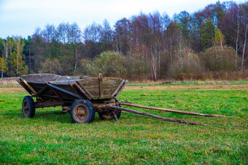 Fototapeta na wymiar Old traditional polish horse cart on the meadow