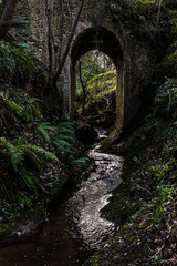 old stone bridge in the forest