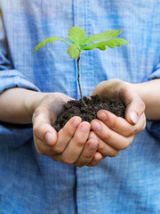 A teenager holds an oak seedling in his palms. Concept - reforestation, eco friendly. Hands with...