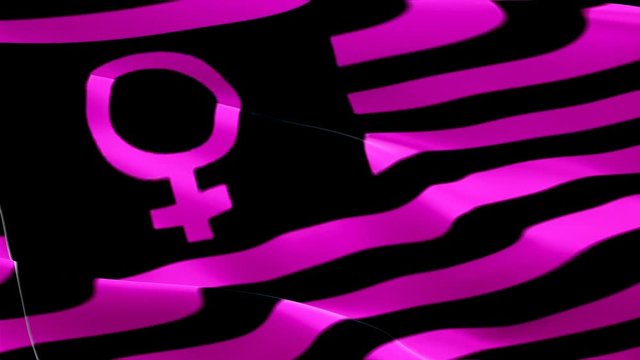 new Feminist Pride Flag Feminism flag video waving in wind. marriage new Feminist Flag background. LGBT Feminism Pride Labrys Flag Looping Closeup 1080p HD 1920X1080 footage. Feminism Pride concept fl
