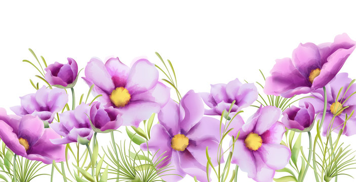 Watercolor purple daisy flowers with green leaves banner