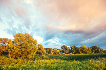 Fototapeta na wymiar Rural landscape with the beautiful evening sky. Green meadow in summer