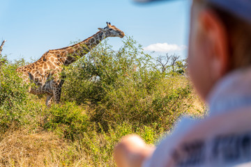 Baby boy enjoying giraffe in Kruger National Park, South Africa