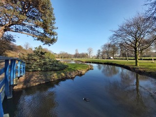 Spring landscape with bare trees, grass, and pond in the park.