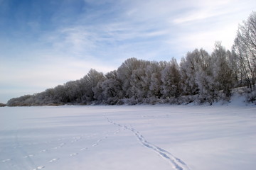 Winter forest. Forest in winter. Snow. The snow on the trees. Frozen river. Footprints in the snow.