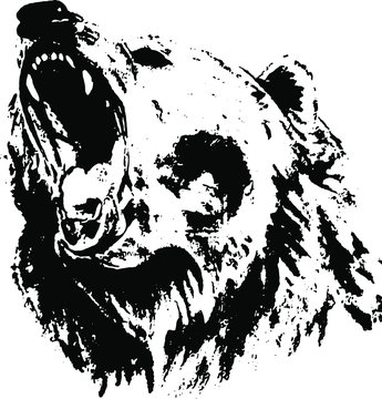  Hand drawn bear. Vector isolated on a transparent background