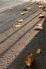 Pavement shadow