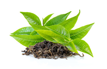 fresh green tea leaf and dry  on white background