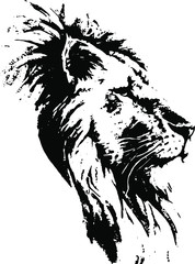  Hand drawn lion. Vector isolated on a transparent background