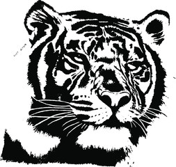  Hand drawn tiger. Vector isolated on a transparent background