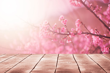 Fototapeta Spring seasonal of pink sakura branch with wooden table stand ,flower background obraz