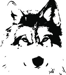 Naklejki  Ręcznie rysowane wilk. Wektor na przezroczystym tle