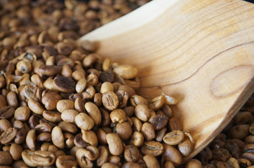Coffee beans roasted to golden and brown are on the counter in the store
